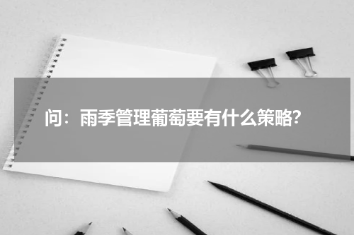 问：雨季管理葡萄要有什么策略？