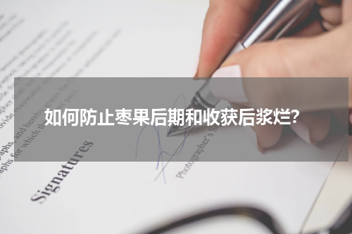 如何防止枣果后期和收获后浆烂？