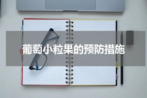 葡萄小粒果的预防措施