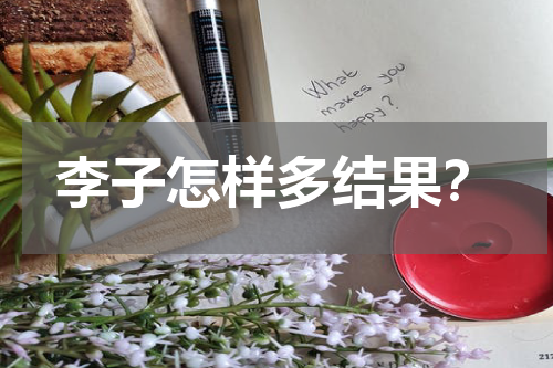 李子怎样多结果？
