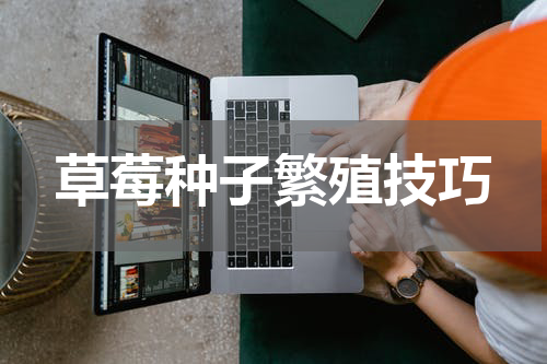 草莓种子繁殖技巧