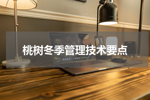 桃树冬季管理技术要点