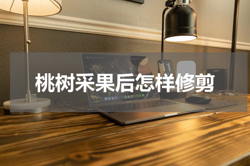 桃树采果后怎样修剪