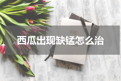 西瓜出现缺锰怎么治