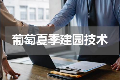 葡萄夏季建园技术