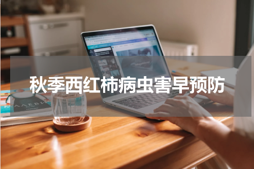 秋季西红柿病虫害早预防