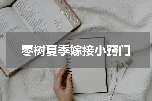 枣树夏季嫁接小窍门