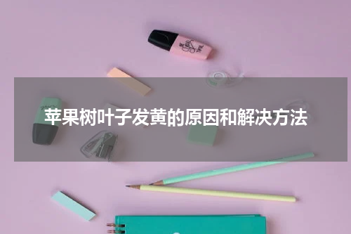 苹果树叶子发黄的原因和解决方法