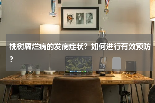 桃树腐烂病的发病症状？如何进行有效预防？